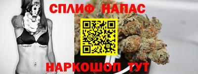 дживик Камышлов