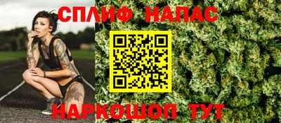 Альфа ПВП Кандалакша