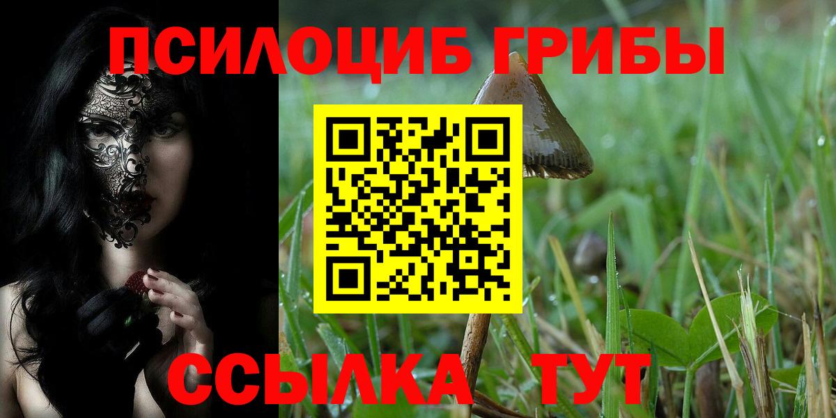 Псилоцибиновые грибы прущие грибы Лангепас